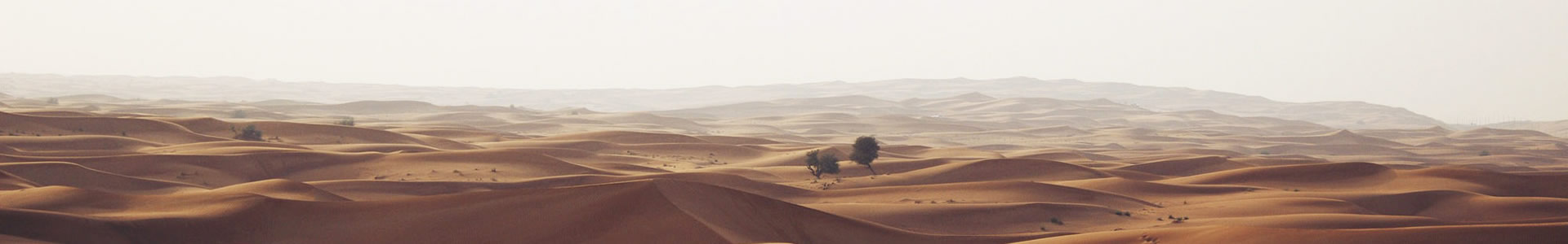 ɭԶó޹˾